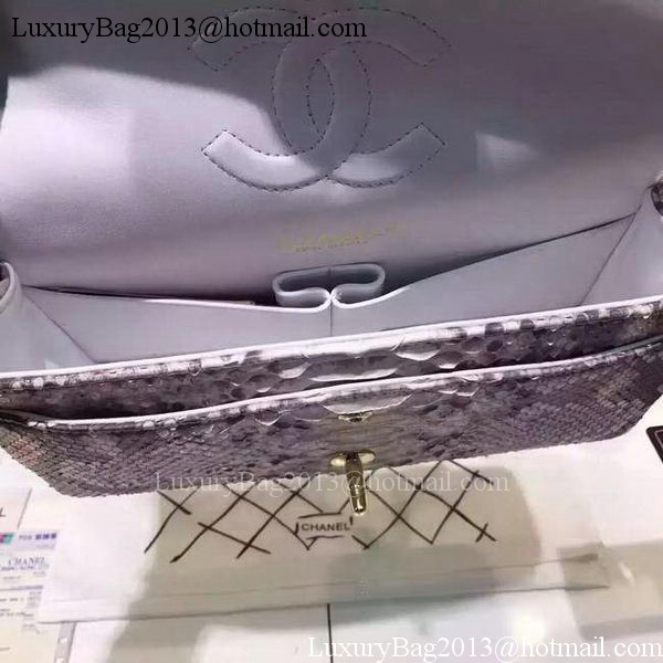 Chanel 2.55 Series Flap Bags Grey Original Python Leather A1112SA Gold