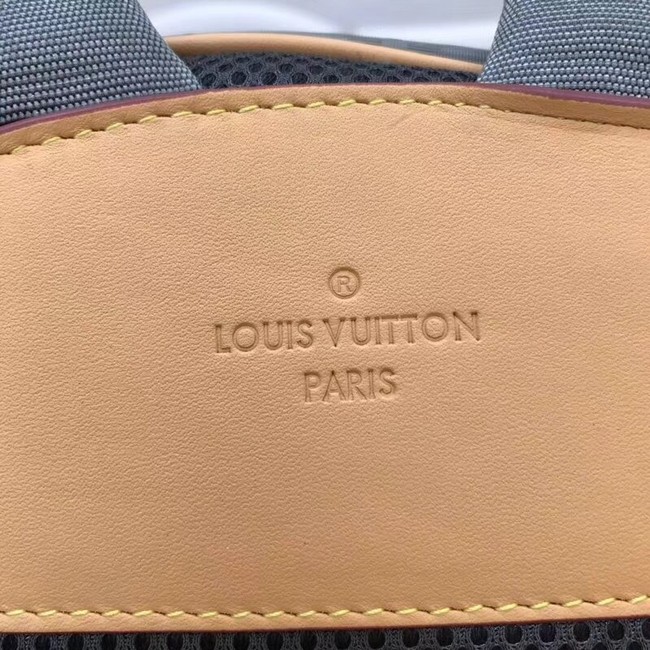 Louis vuitton BACKPACK PM M43882