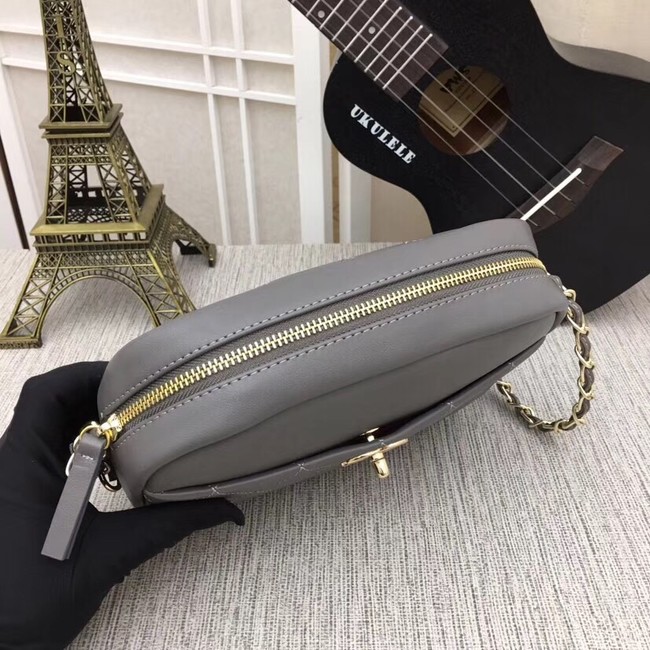 Chanel camera case Metallic Goatskin & Gold-Tone Metal 8040A grey