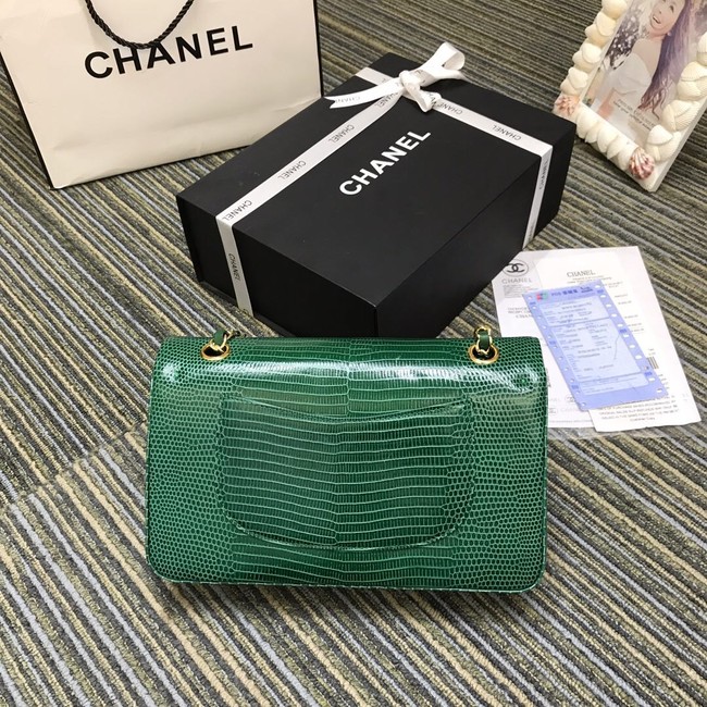 Chanel Classic Handbag Original Lizard & Gold-Tone Metal A01112 green