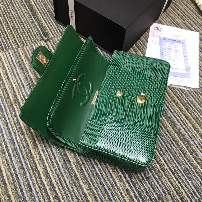 Chanel Classic Handbag Original Lizard & Gold-Tone Metal A01112 green
