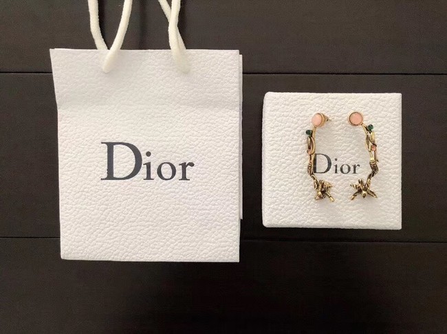 Dior Earrings CE2134