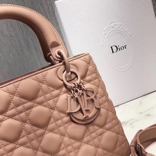 Dior ULTRAMATTE LADY DIOR-TAS M0565S pink