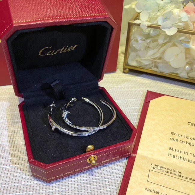Cartier Earrings CE2313