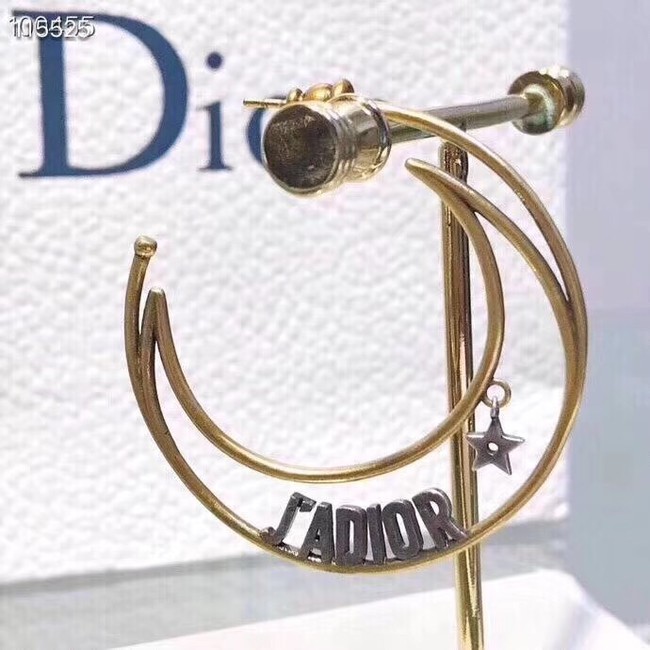 Dior Earrings CE2321