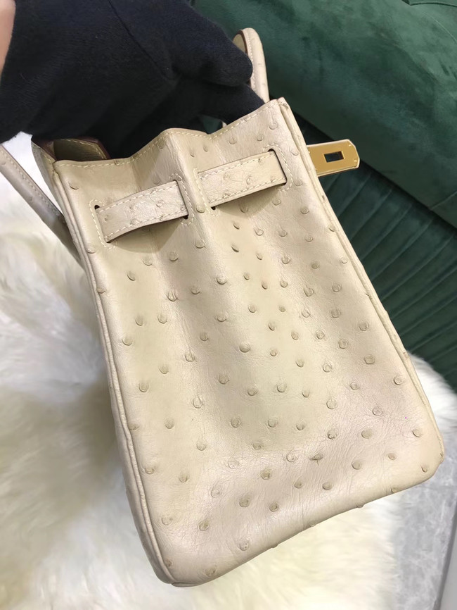 Hermes Birkin Bag Original Leather Ostrich skin HBK2530 cream