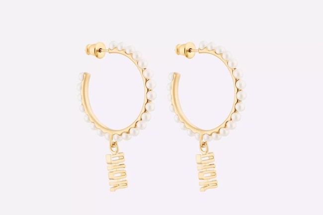 Dior Earrings CE9313