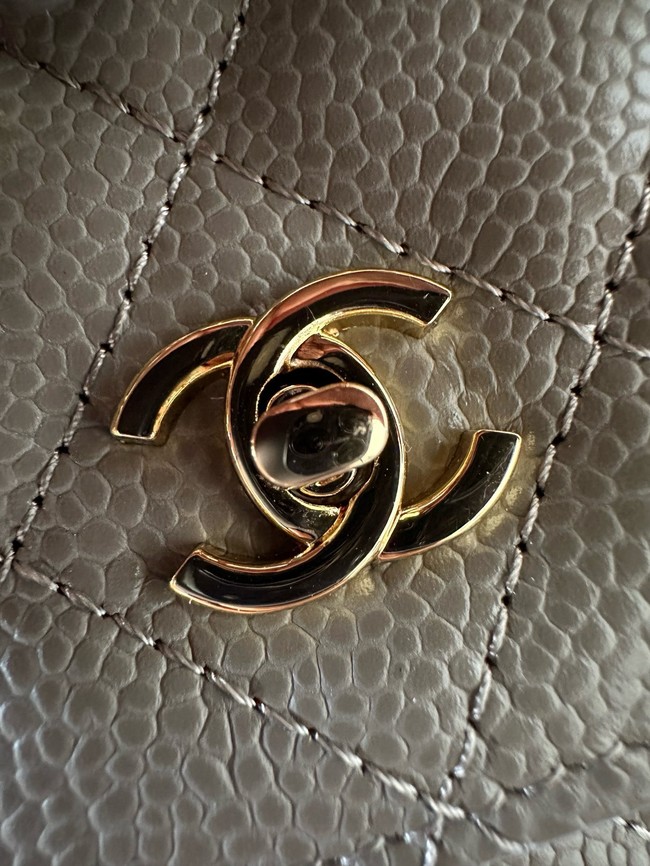 Chanel Classic Wallet On Chain Lambskin AP4241-13