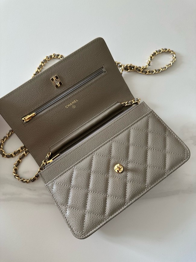 Chanel Classic Wallet On Chain Lambskin AP4241-13