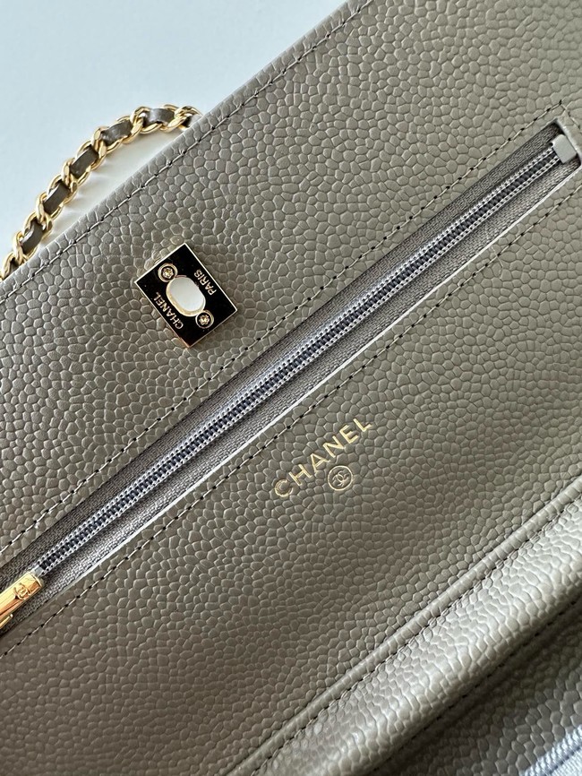 Chanel Classic Wallet On Chain Lambskin AP4241-13
