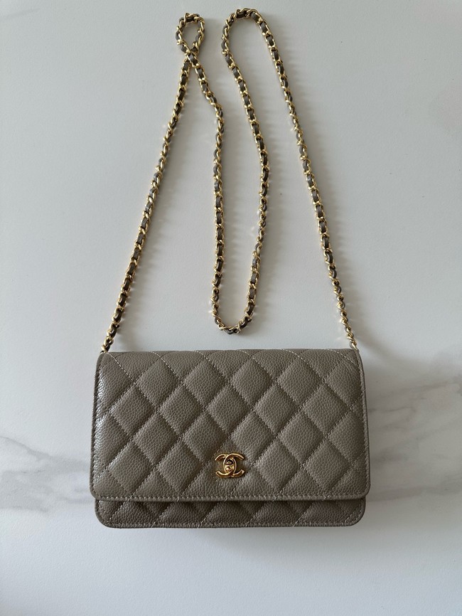 Chanel Classic Wallet On Chain Lambskin AP4241-13