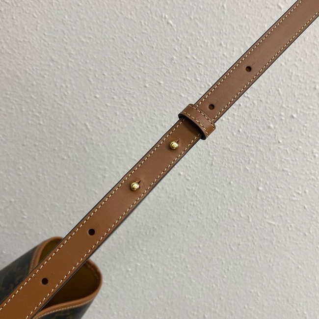 Celine IN TRIOMPHE CANVAS AND CALFSKIN 8875 TAN