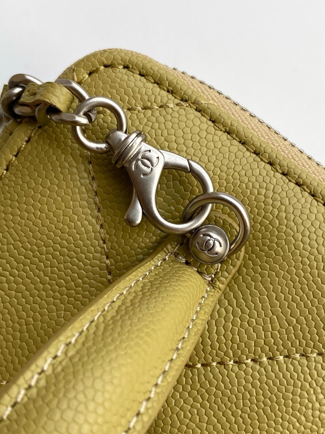 Chanel Long Vanity with chain AP4933 green