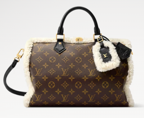 Louis Vuitton NEW Speedy Soft 30 Teddy M26326