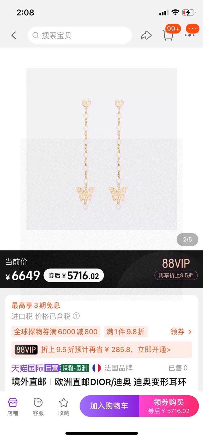 Dior Earring CE81678