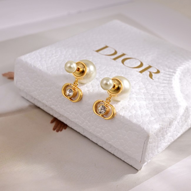 Dior Earring CE81698
