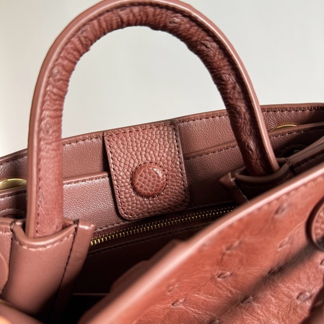 Bottega Veneta Mini Andiamo Sapele 805232 Sapele