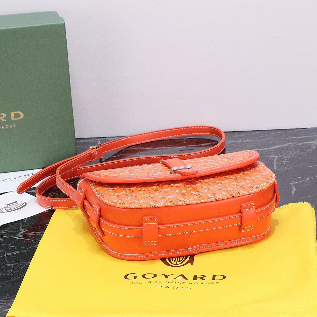 Goyard shoulder bag 36959 Orange  