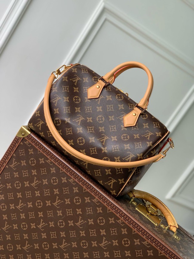 Louis Vuitton Speedy Soft 30 Crafty M11945