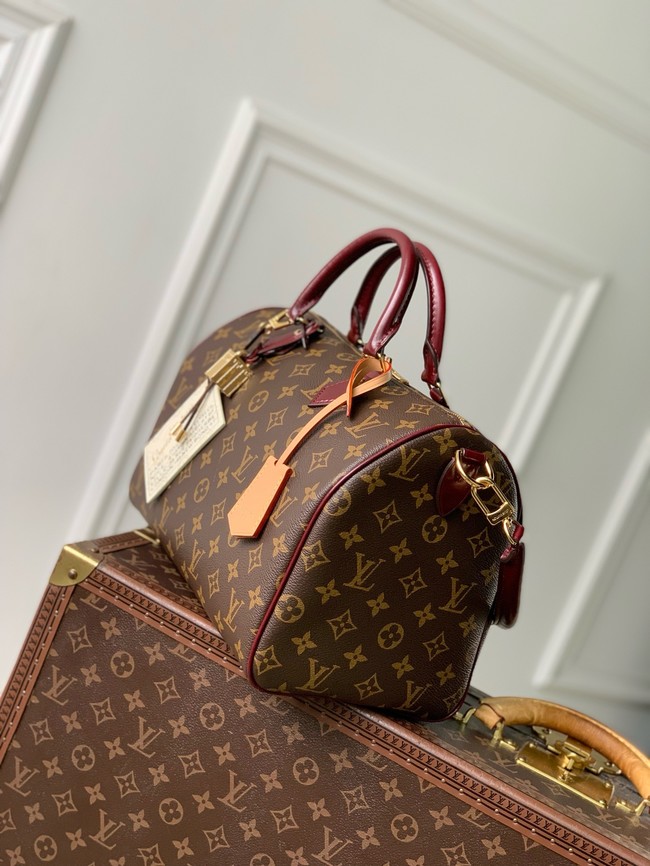 Louis Vuitton Speedy 30 Soft Celebration M28379 