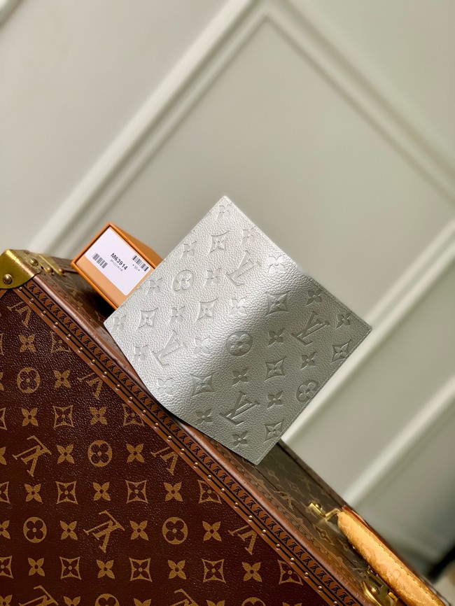 Louis Vuitton Passport Cover M63914 gray