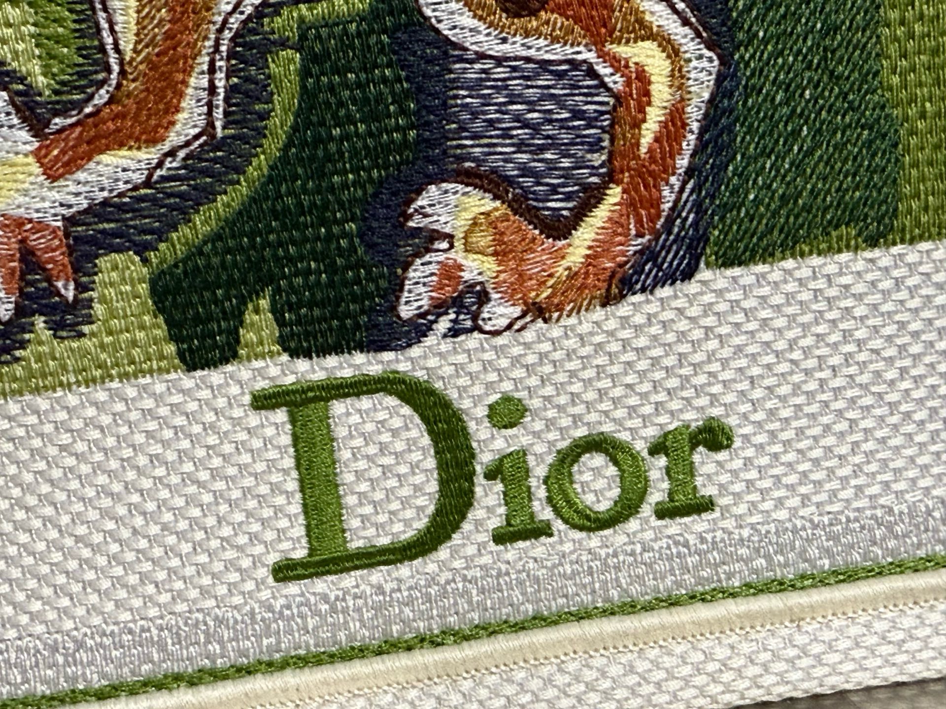 Large Dior Book Tote Embroidery M1349OE green