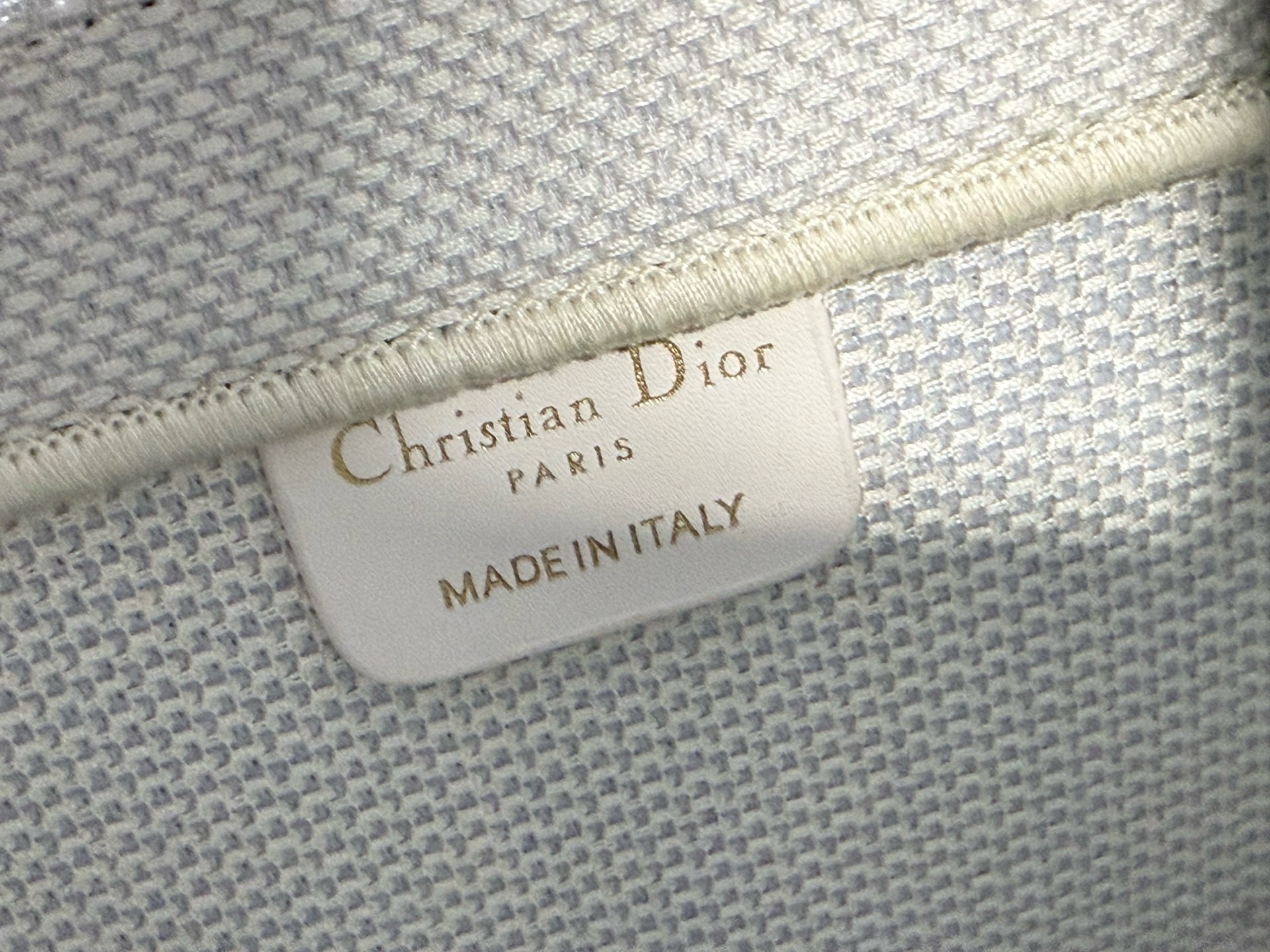 Large Dior Book Tote Embroidery M1349OE green