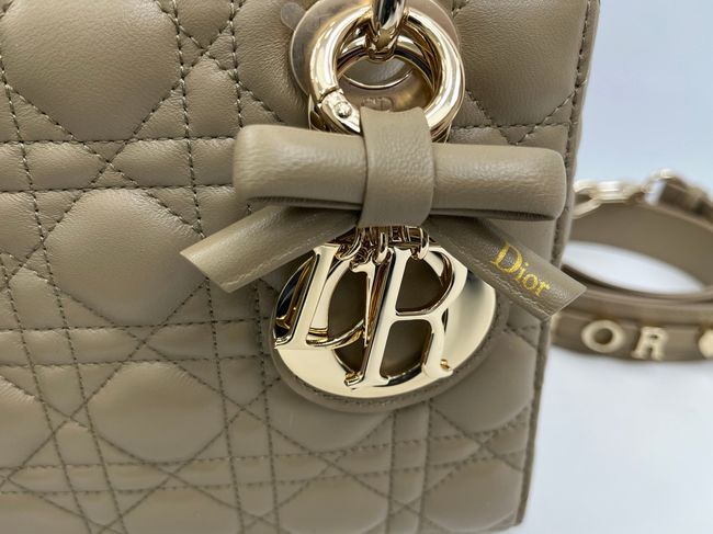 Small Lady Dior Bag with Strap Cannage Lambskin M0531OU dark Apricot