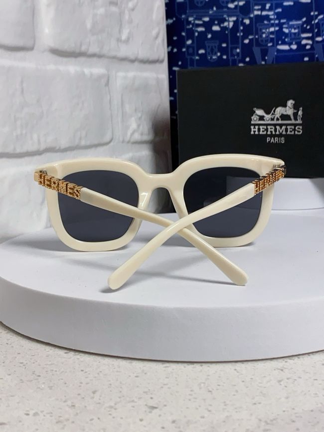 Hermes Sunglasses 821519-5