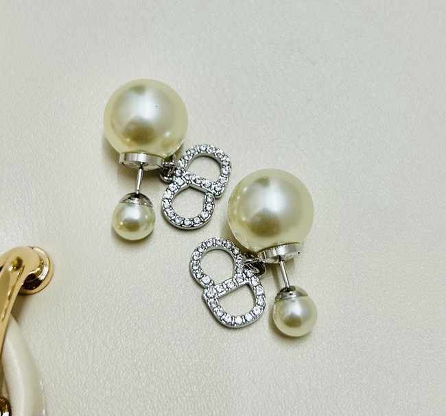 Dior Earrings CE89993