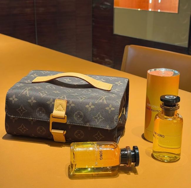 Louis Vuitton Hanging Toiletry Bag M2A500
