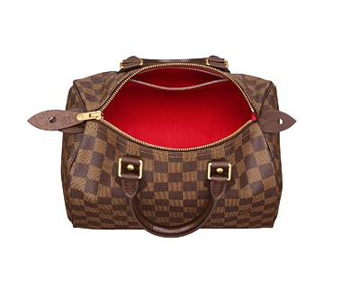 Louis Vuitton Damier Ebene Canvas Speedy 25 Borse N41532